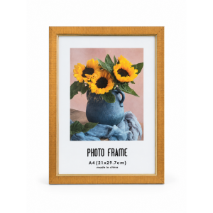 Gold Frame